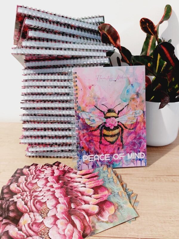 NOI INCEPUTURI PRIM PLAN AGENDA - NOI ÎNCEPUTURI - PEACE OF MIND