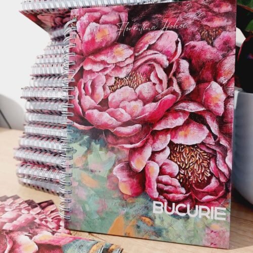 AGENDA - CÂND BUJORII ZÂMBESC-BUCURIE